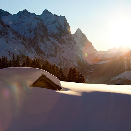 Victoria - Alpine Boutique Hotel & Fine Dining Meiringen Exteriér fotografie