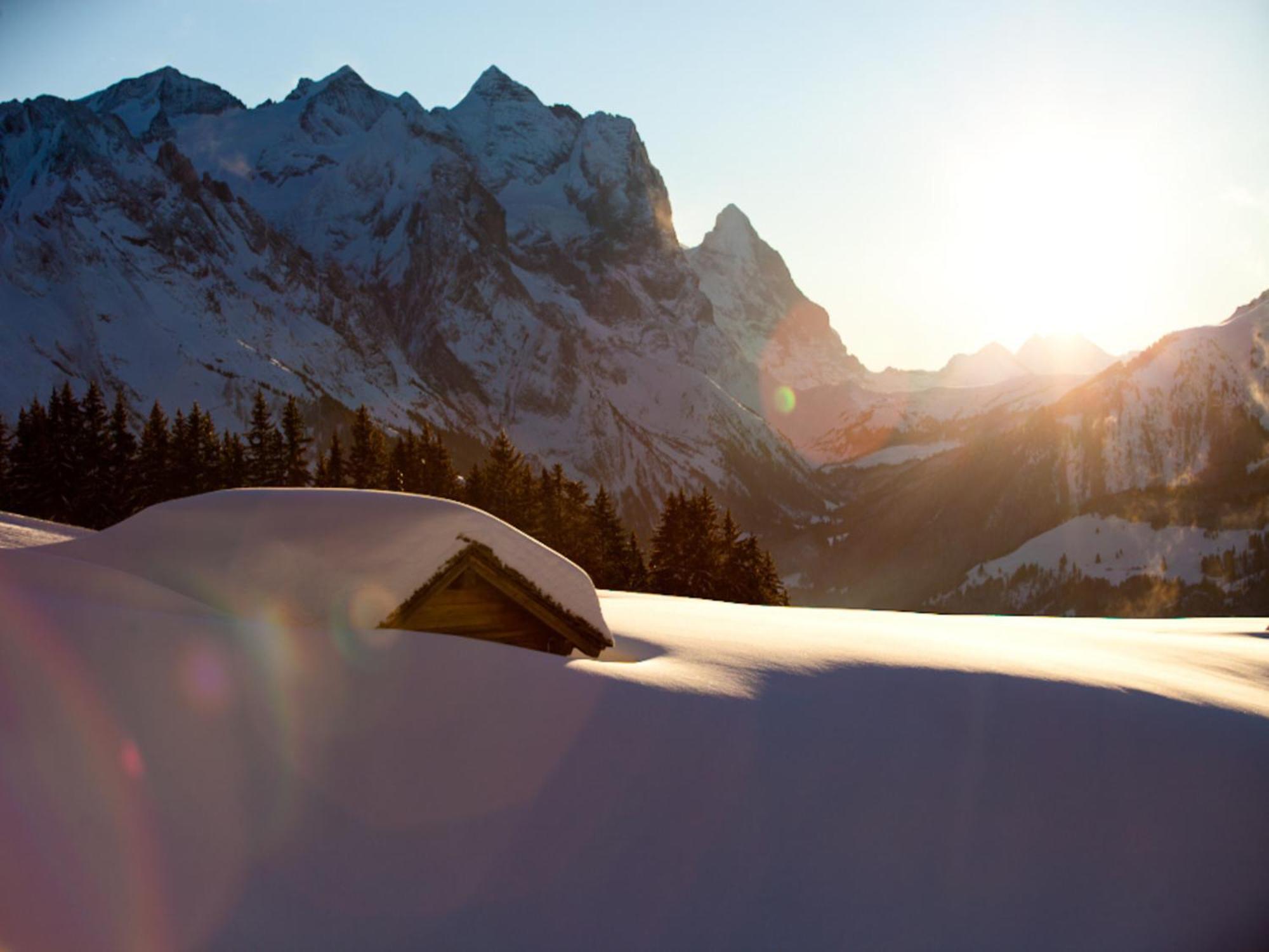 Victoria - Alpine Boutique Hotel & Fine Dining Meiringen Exteriér fotografie