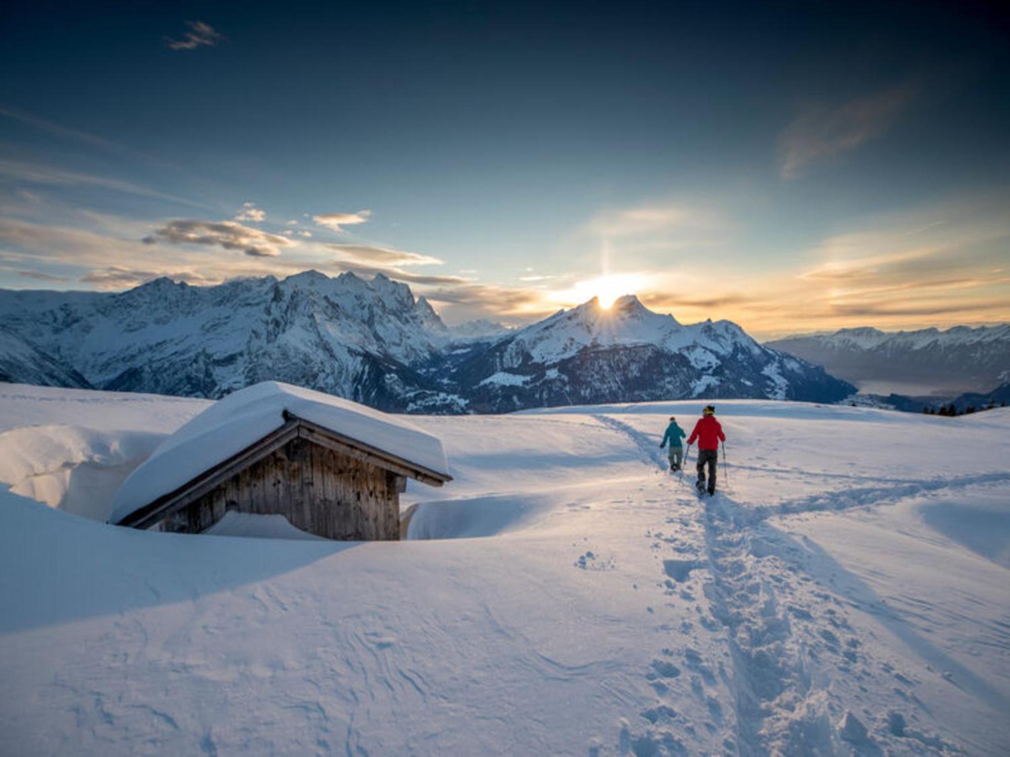 Victoria - Alpine Boutique Hotel & Fine Dining Meiringen Exteriér fotografie