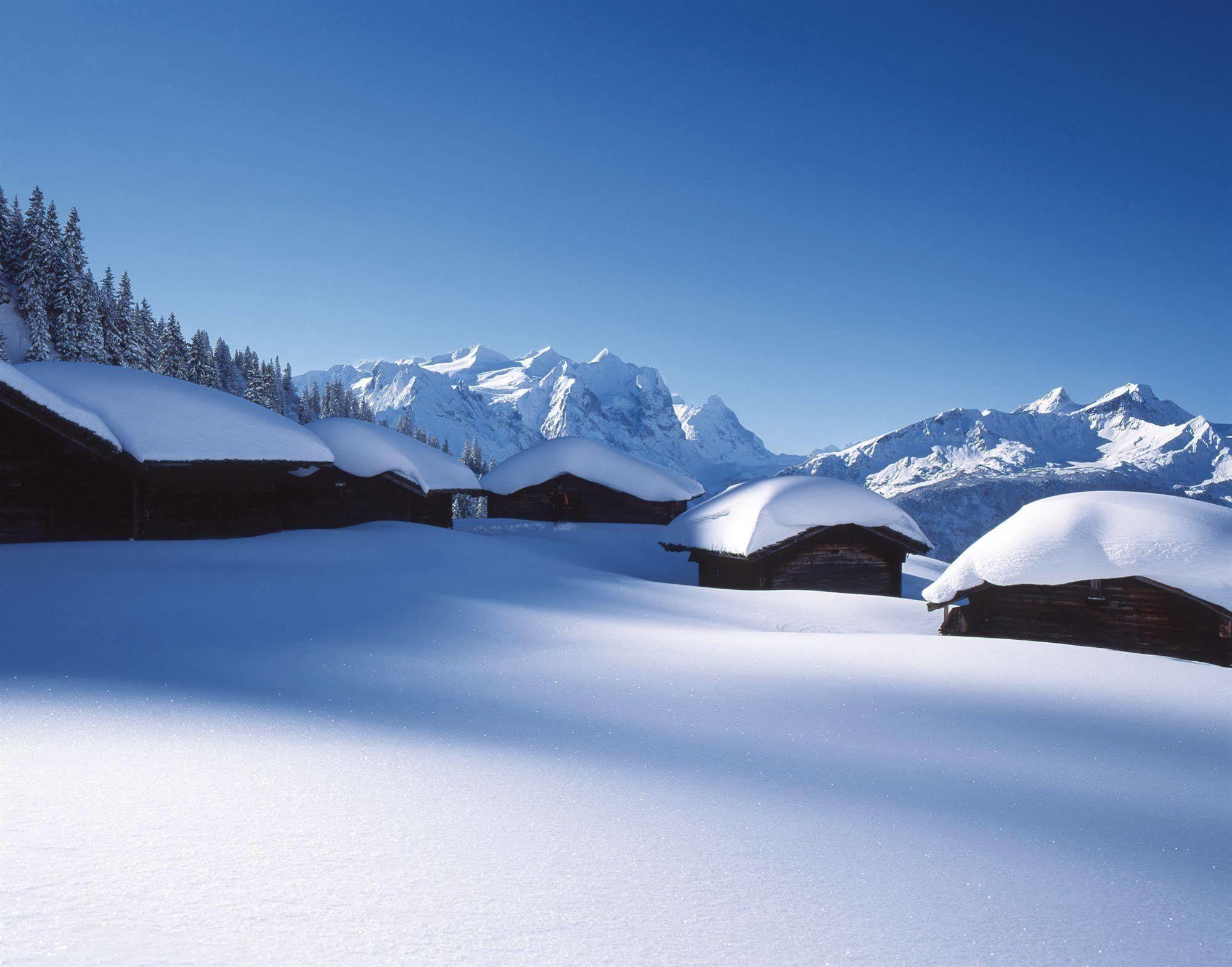 Victoria - Alpine Boutique Hotel & Fine Dining Meiringen Exteriér fotografie